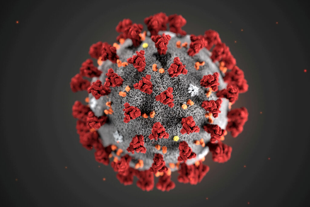 Virus SARS-CoV-2