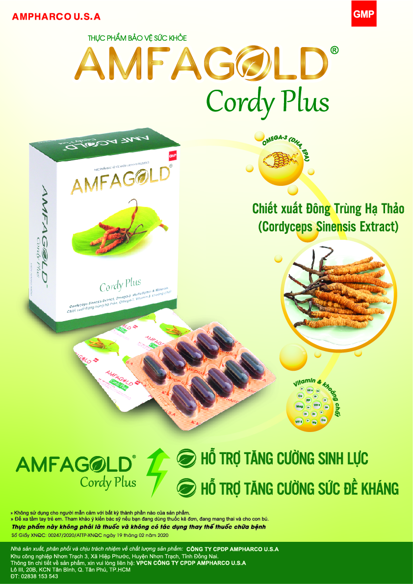 amfagold-cordy-plus